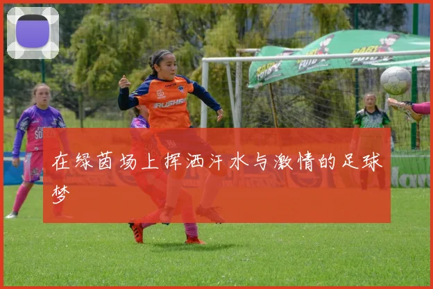 在绿茵场上挥洒汗水与激情的足球梦