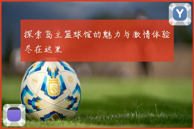 探索岛主篮球馆的魅力与激情体验尽在这里